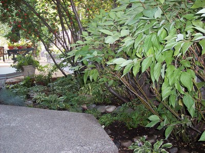 gallery/medium/0-Landscapers-Bellevue-Idaho.jpg