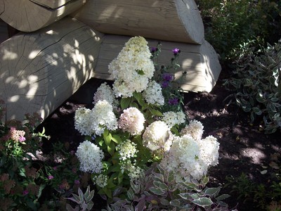 gallery/medium/100_2585-Landscaping-Bellevue-Idaho.jpg