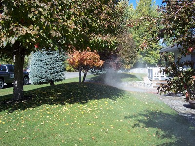 gallery/medium/100_2603-Gardening-Hailey-Idaho.jpg