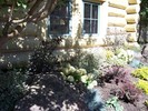 gallery/small/100_2584-Garden-Hailey-Idaho.jpg